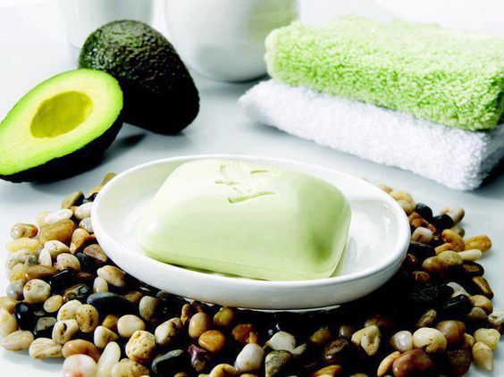 5 Reasons Aloe Vera Is the Ultimate Natural Skincare Ingredient