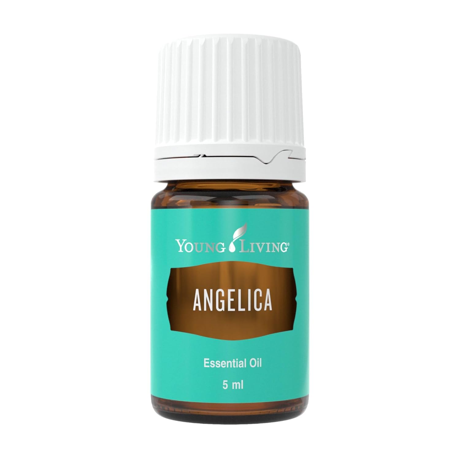 Young Living Angelica Premium Essential Oil 5ml (0.17 fl oz) — Steam Distilled, Seed to Seal Certified