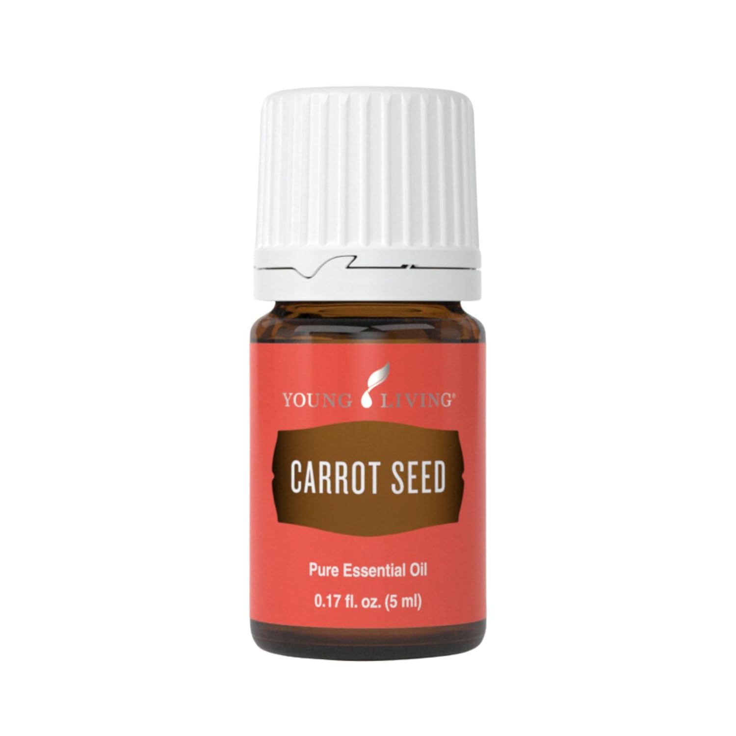 Carrot Seed Essential Oil 5ml —  Skincare & Aromatherapy