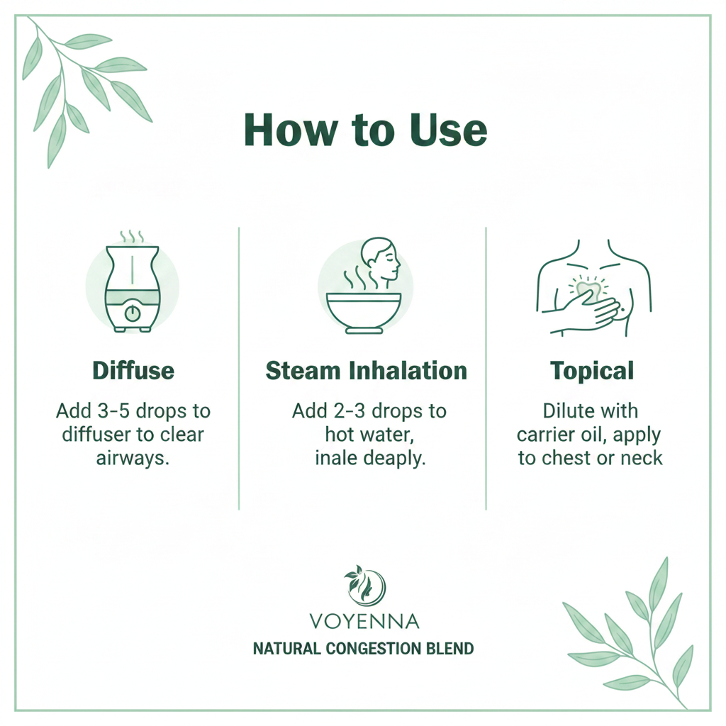 Congestion Infographic 2