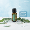 Eucalyptus - Infographic Cooling