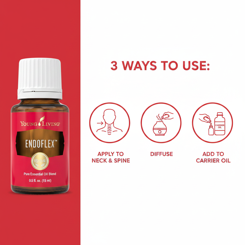 EndoFlex - How to Use Infographic