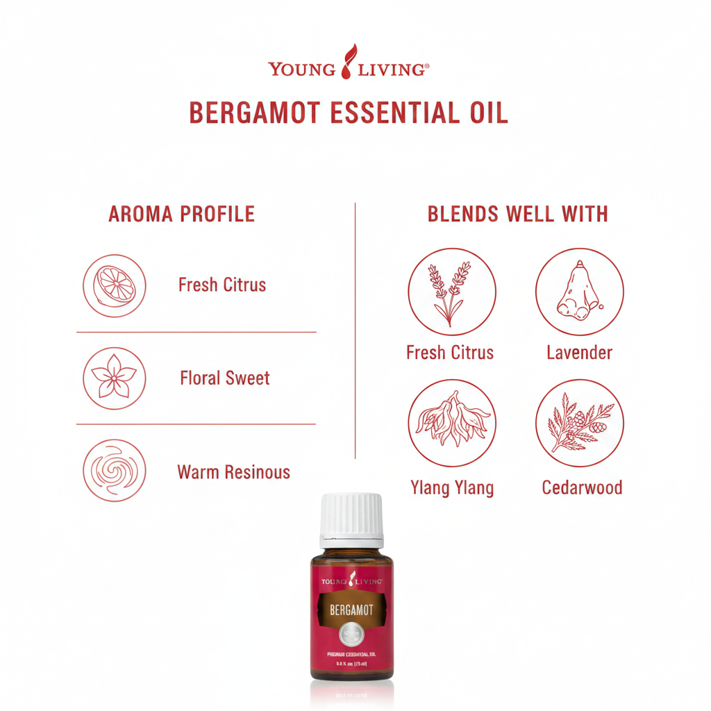 Bergamot essential oil aroma profile and blending guide infographic