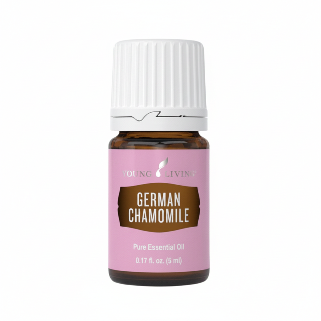 German Chamomile - Studio Shot