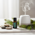 doTERRA Balance bottle on marble with river stones spruce branches and diffuser