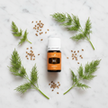 Dill Essential Oil marble flat lay with fresh dill sprigs and seeds