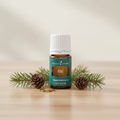 Pine essential oil bottle with pine needles and cones on spa surface