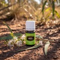 Kunzea oil in Australian bush with wildflowers and eucalyptus