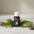 Cypress essential oil on marble with fresh cypress branches and river stones