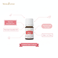 JuvaFlex Vitality key benefits infographic