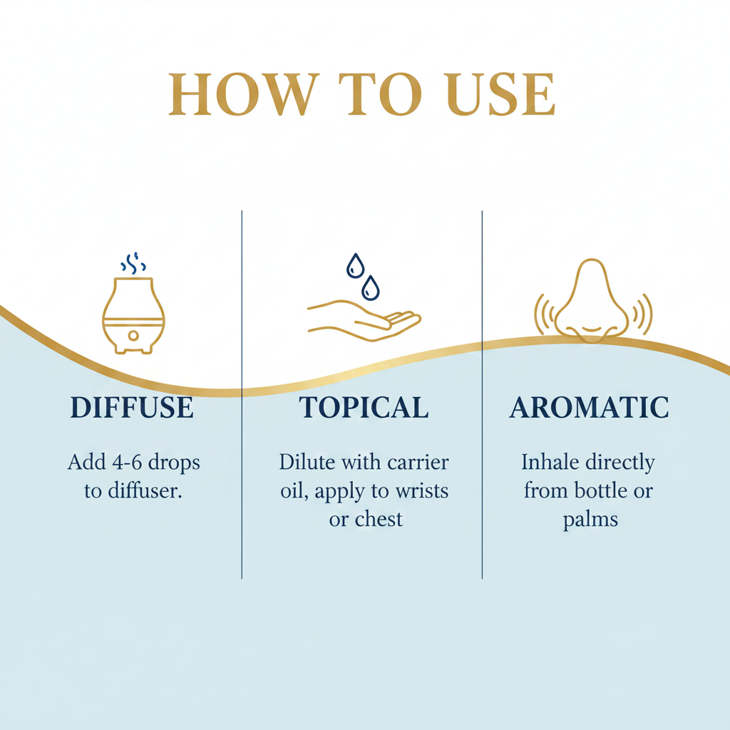Higher Unity How To Use infographic