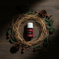 Vetiver bottle on dark wood with dried vetiver grass roots and earthy botanicals