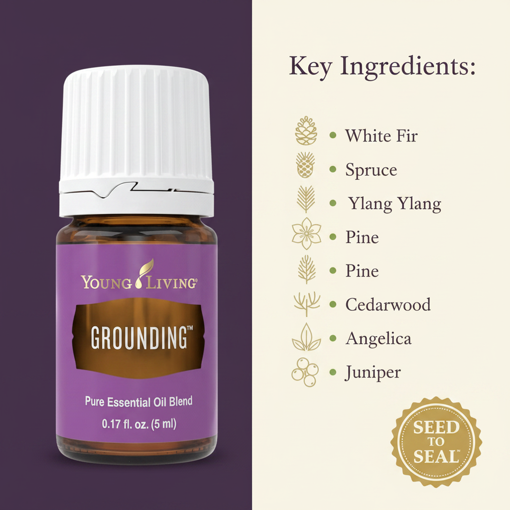 Grounding - Ingredients Infographic