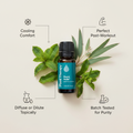 Plant Therapy Rapid Relief benefits infographic