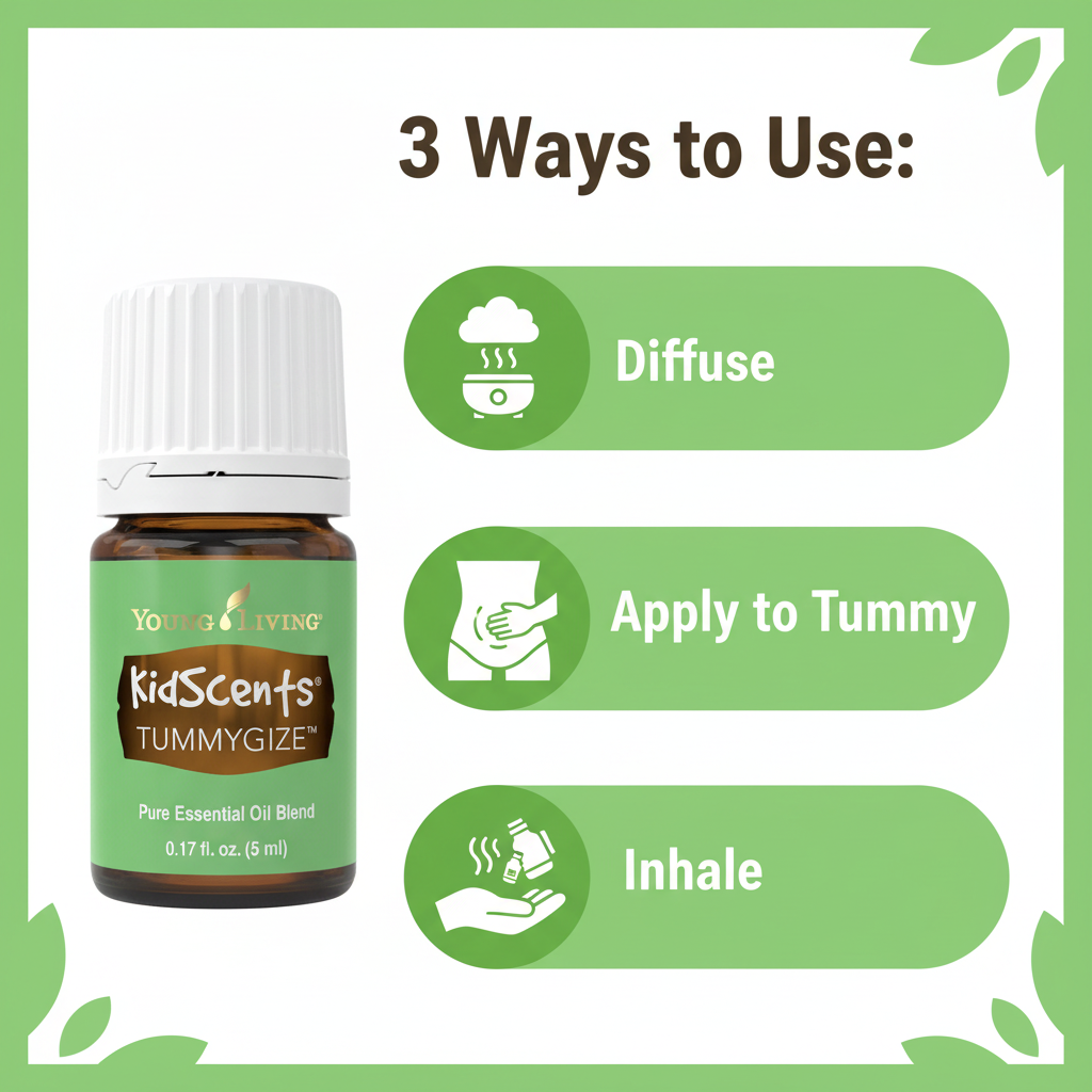 Tummygize - How to Use Infographic