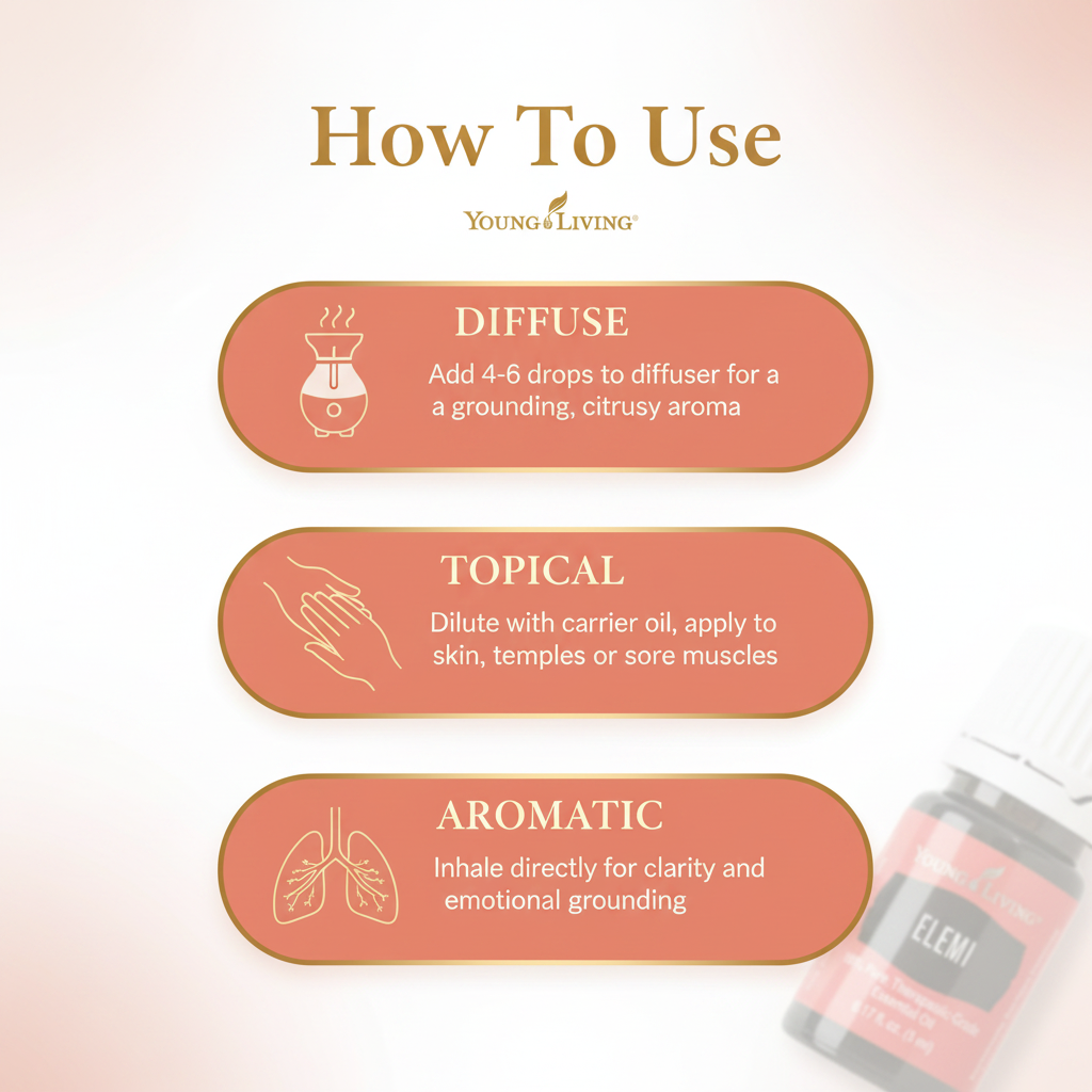 Elemi How To Use infographic
