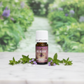 Into The Future essential oil on marble with purple botanicals