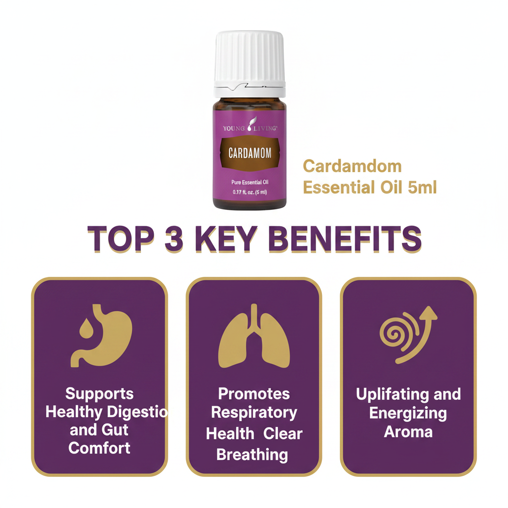 Cardamom Essential Oil key benefits infographic