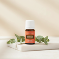 Ravintsara essential oil bottle with eucalyptus leaves on spa surface