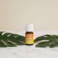 Paicotea essential oil bottle with tropical Amazonian leaves on spa surface
