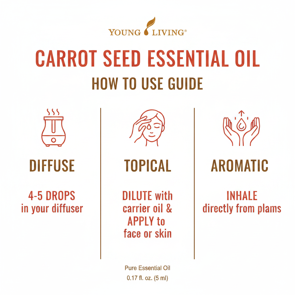 Carrot Seed Essential Oil how to use infographic