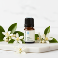 Plant Therapy Neroli Essential Oil on marble with fresh orange blossoms