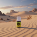 Frankincense essential oil on desert sand dunes at golden hour