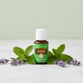 M-Grain essential oil on marble with peppermint and lavender