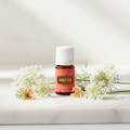 Carrot Seed essential oil bottle with wild carrot flowers on spa surface