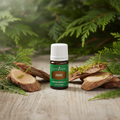 Hinoki bottle on wood with cypress foliage