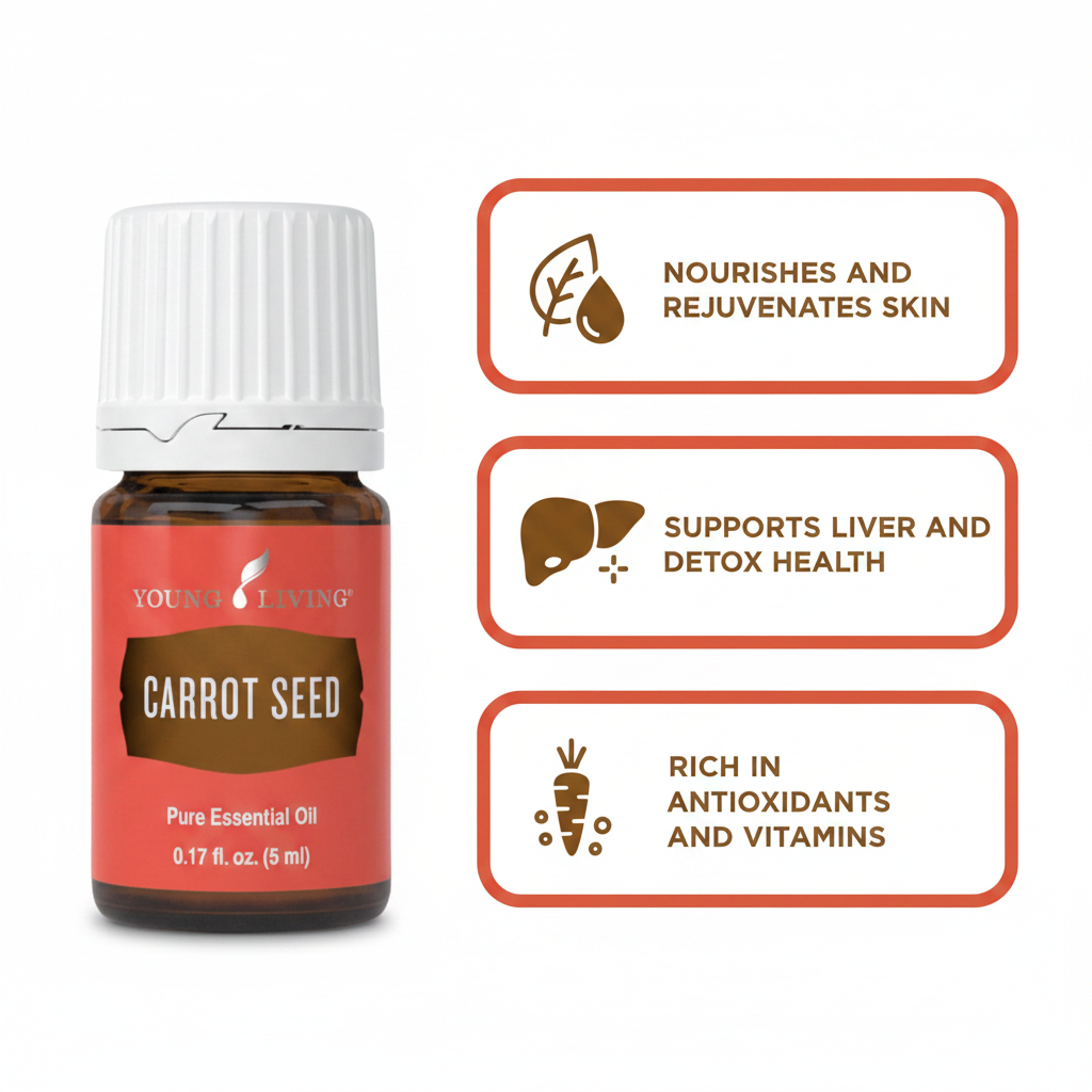 Carrot Seed Essential Oil key benefits infographic