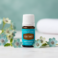 Young Living Blue Tansy Essential Oil on marble with blue tansy flowers