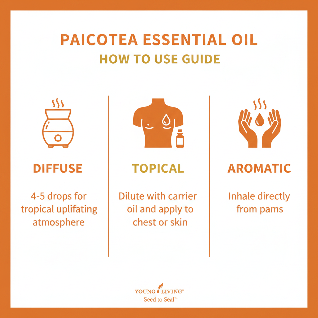 Paicotea Essential Oil how to use infographic