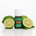 Jade Lemon - Studio Shot