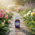 Awaken oil on dewy morning garden path with sunrise light and flowers