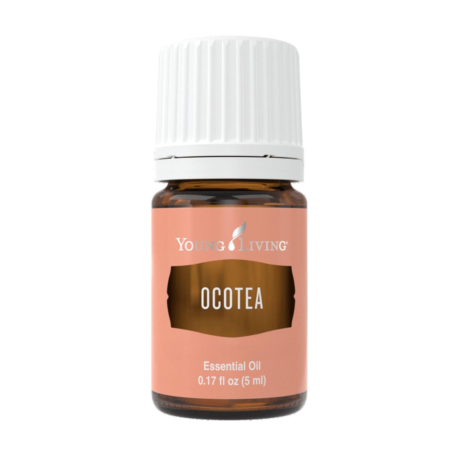 Ocotea Essential Oil 5ml