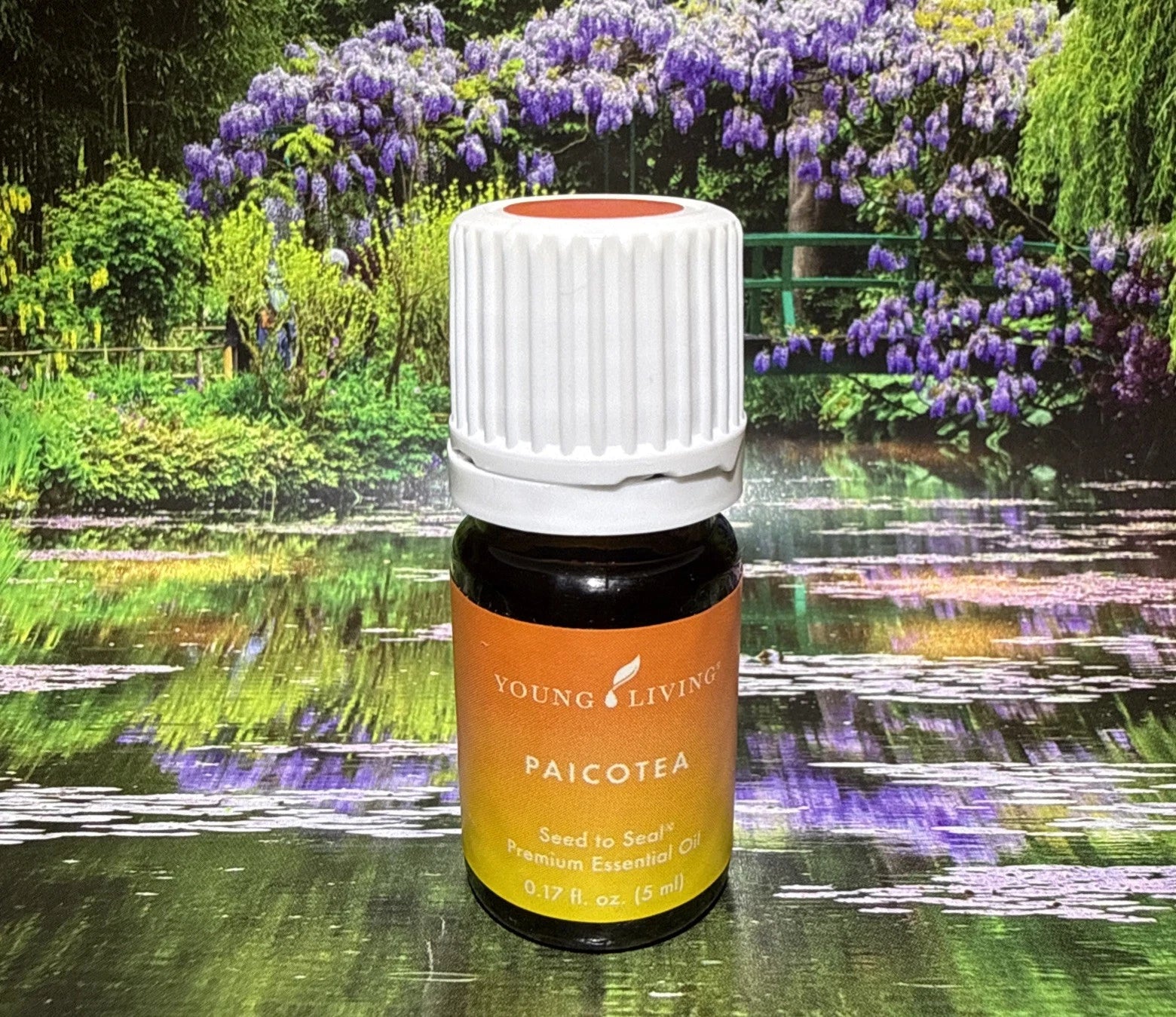 Paicotea Essential Oil 5ml — 100% Pure Seed to Seal Premium Aromatherapy