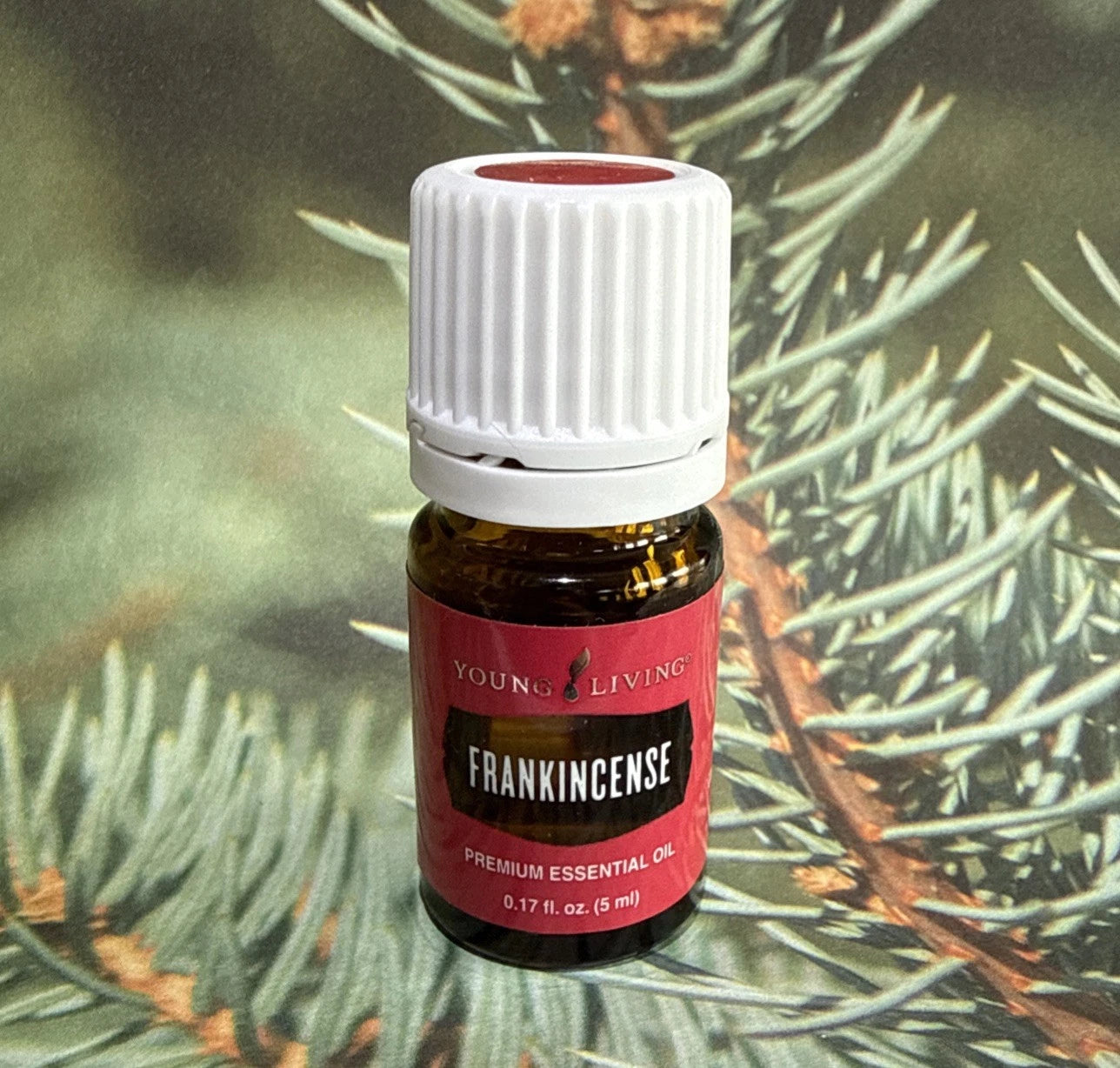 Young Living Frankincense Premium Essential Oil – 100% Pure (5 ml)