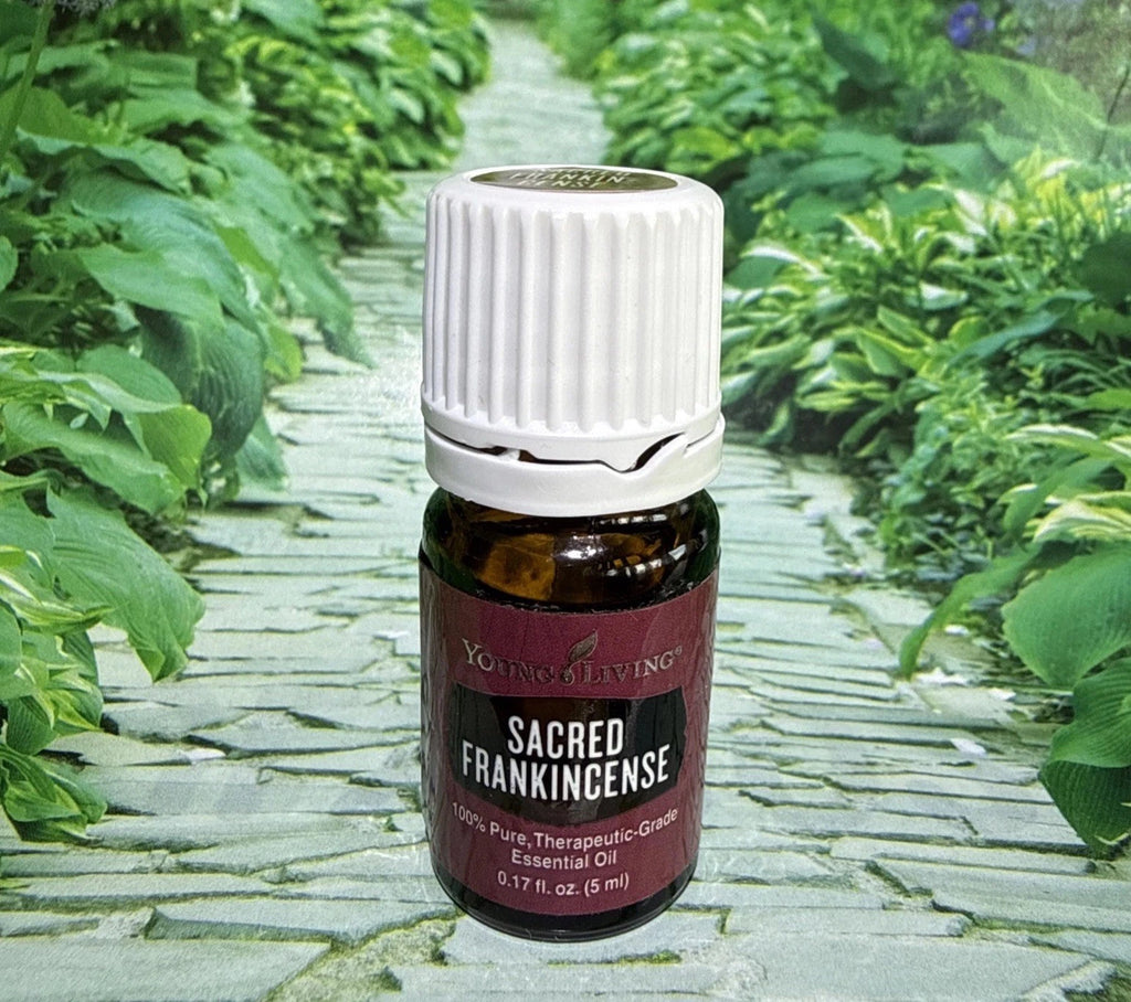 Young Living Sacred Frankincense Essential Oil – 100% Pure Therapeutic Grade (5 ml)