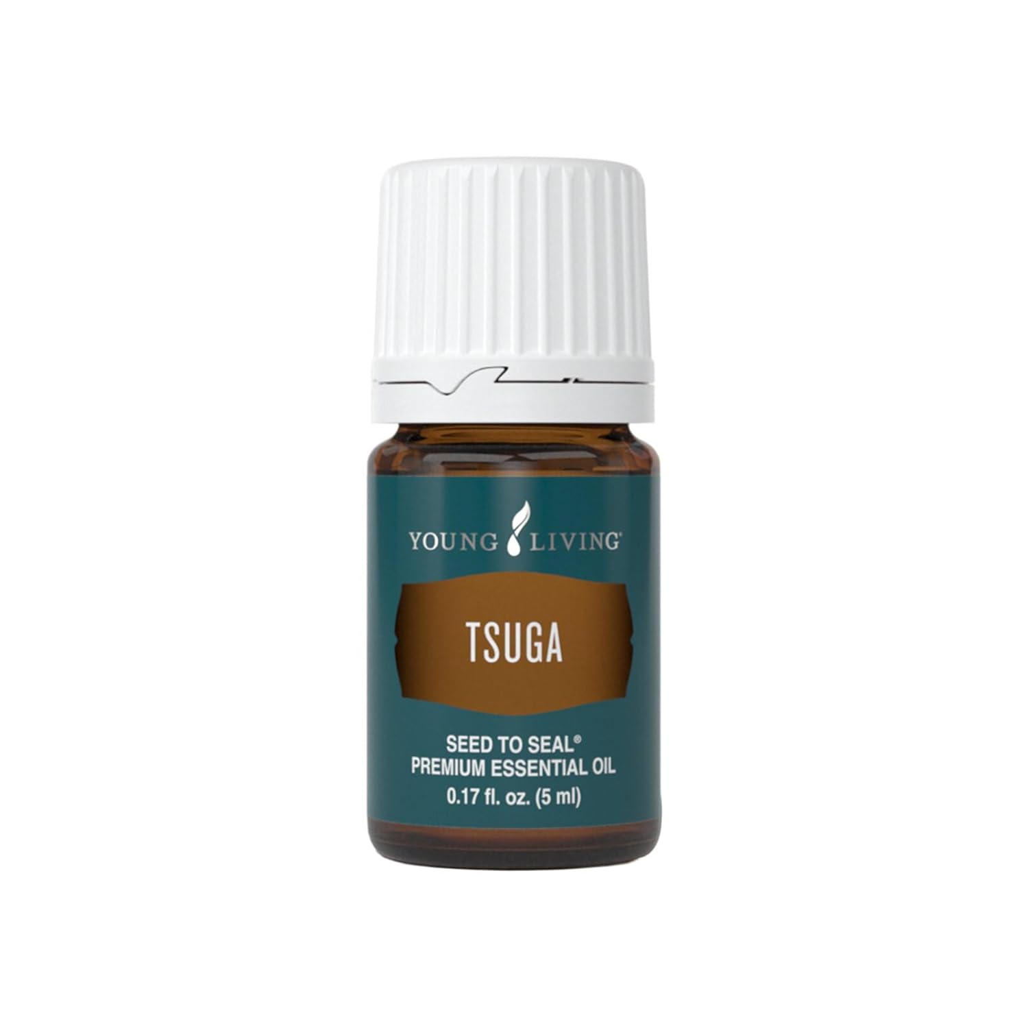 Tsuga Essential Oil 5ml Seed to Seal Aromatherapy